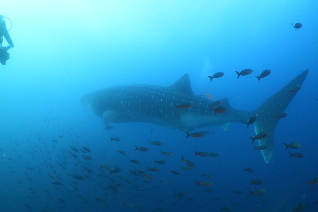 d088bdc2-17f8-4c38-9fdf-a369494ab39c