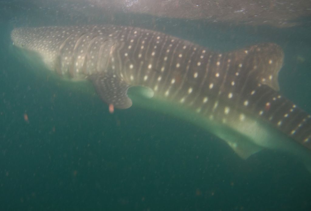 5011e055-415f-403c-a29a-3a0eb9b9d946