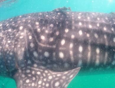 89553ad4-8919-43c1-a67d-42906d4436fc