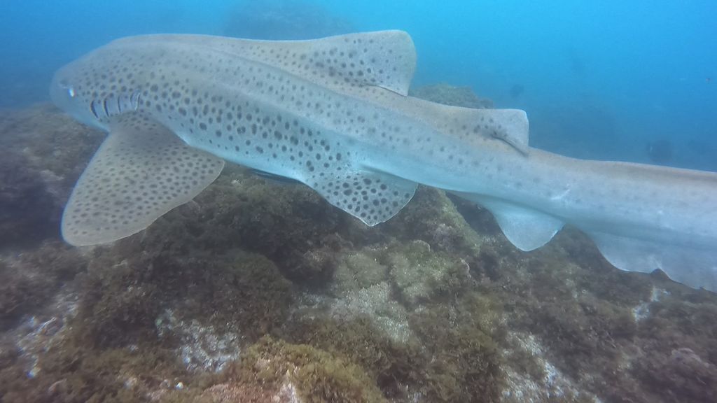 858cf93b-b670-4400-b442-523085d215f8