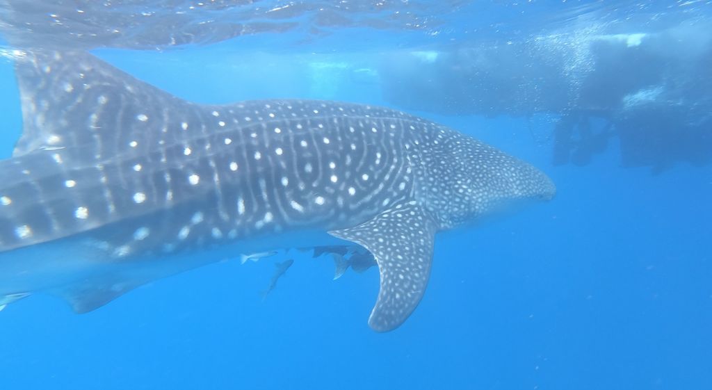 e8699b68-470f-449f-bfd0-92ee9f49ac7c