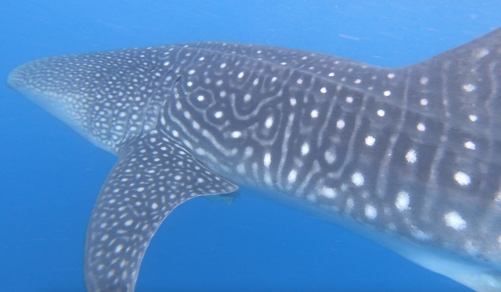 e8699b68-470f-449f-bfd0-92ee9f49ac7c