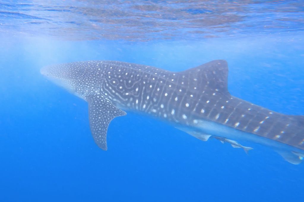 e8699b68-470f-449f-bfd0-92ee9f49ac7c