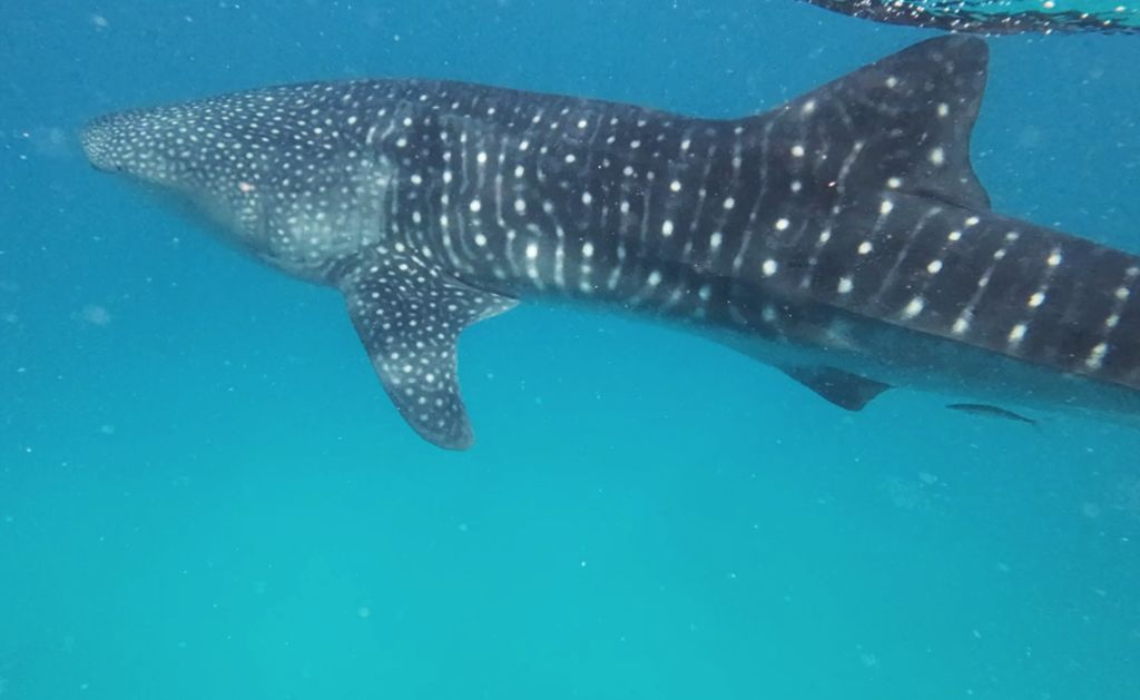 6ce186d4-2a59-4a15-8a74-d799ce73b4c3