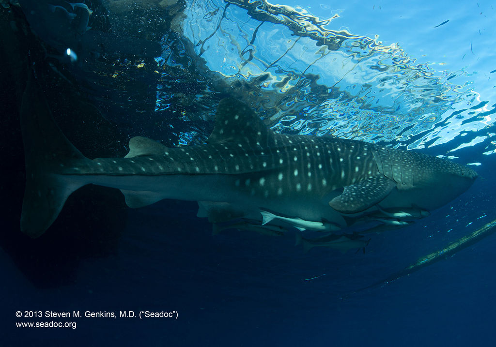 821d7b4a-7075-42b4-8caa-f392e4468b25