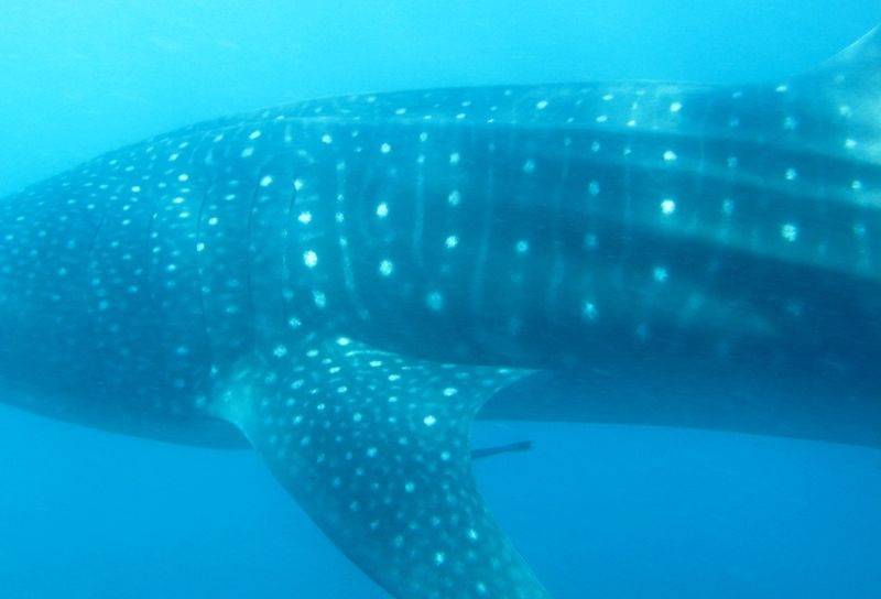 49064f67-aee6-43d6-ab7a-fd7291d41715