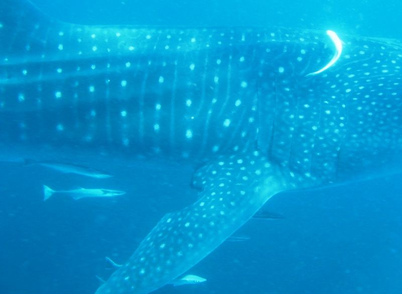 49064f67-aee6-43d6-ab7a-fd7291d41715