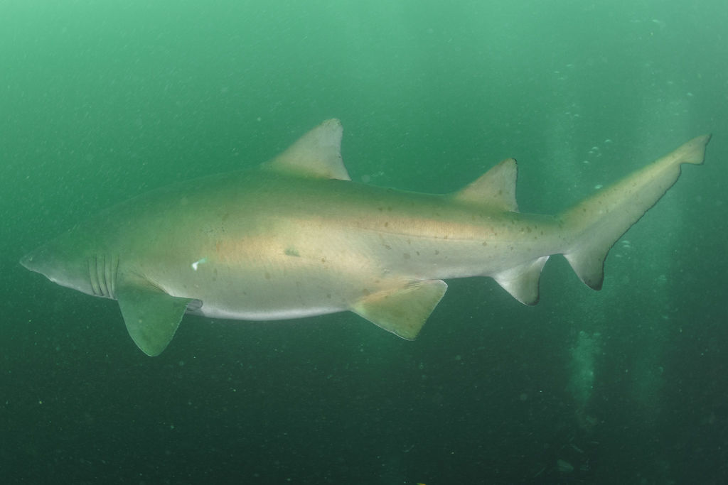 fa285150-2bb9-4bec-a5ca-ee96e5f83138