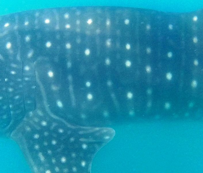 0e26e24b-db95-40c5-84dd-eb3f80e99bbf