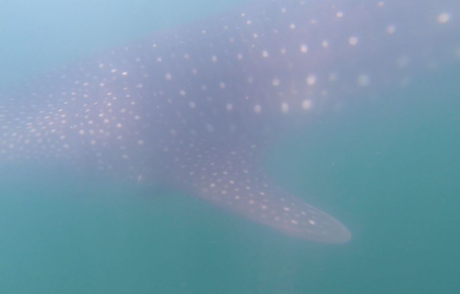 637be410-ce7a-4967-bf77-9af4fca4a77e