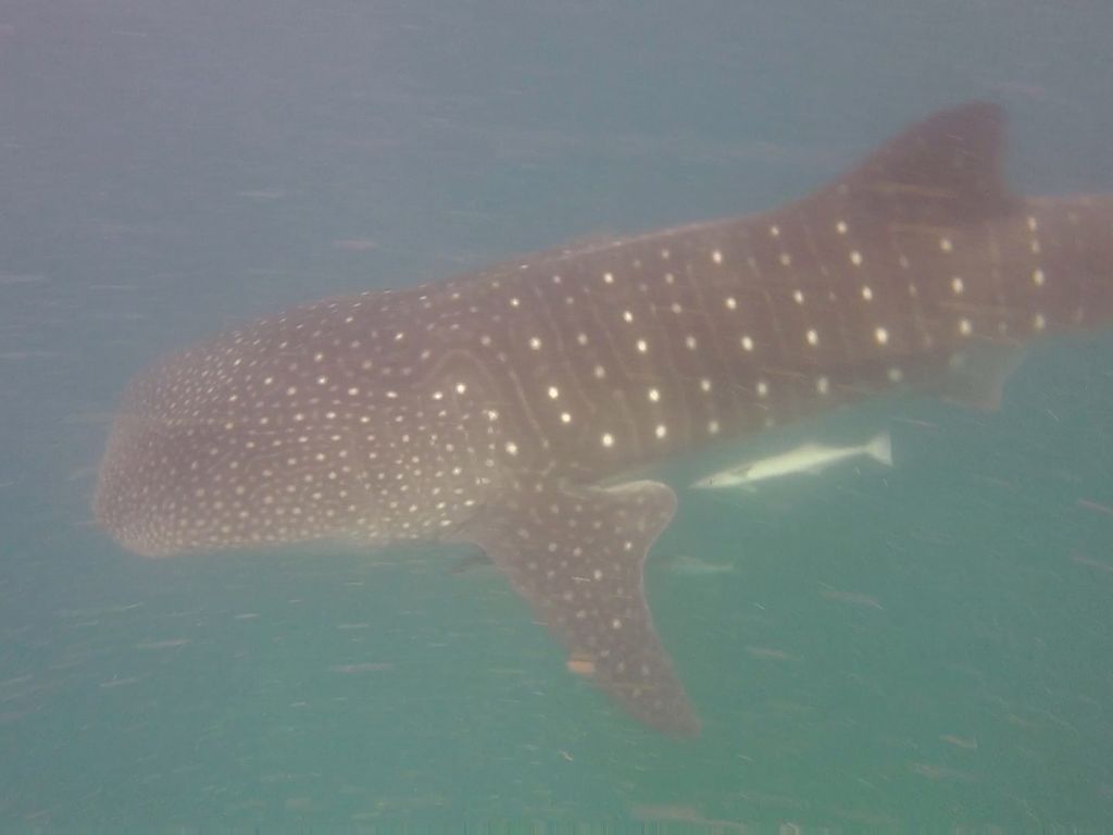 050507c4-bf75-4cb0-88b1-1cd6d8079cce