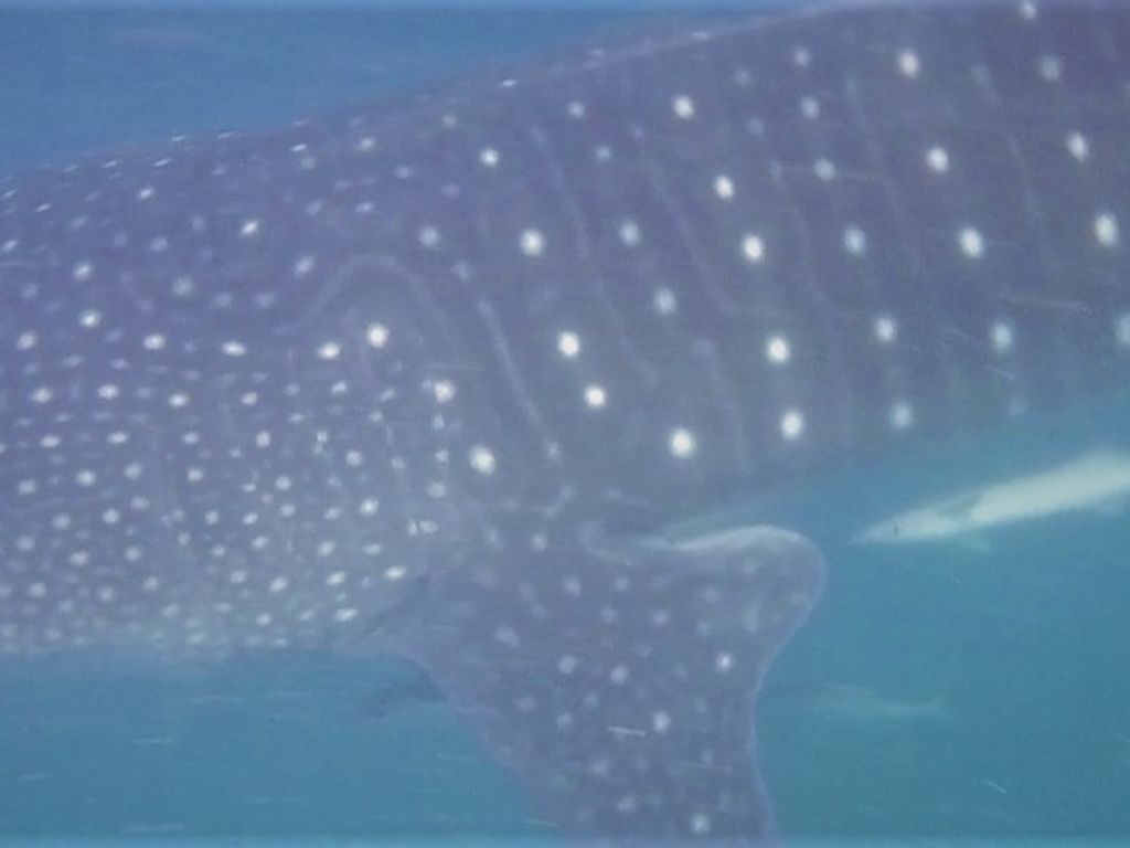 050507c4-bf75-4cb0-88b1-1cd6d8079cce