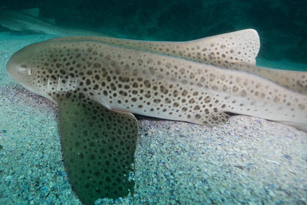 e8361446-5788-4950-a973-5229ddae52de