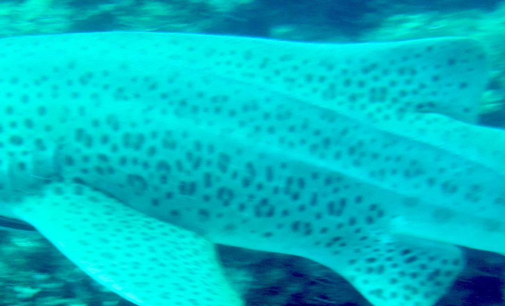 bf59740e-5541-45d5-8317-bd8bc671eead