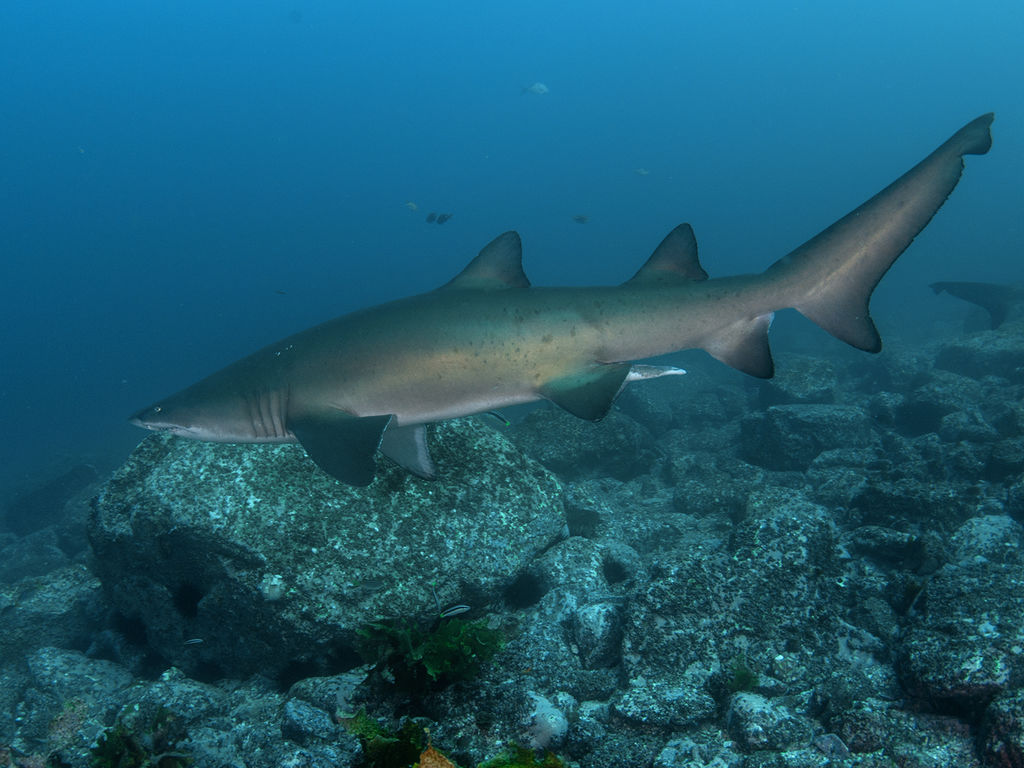 606df998-4af3-4e02-b9e3-6311ca47cfdb