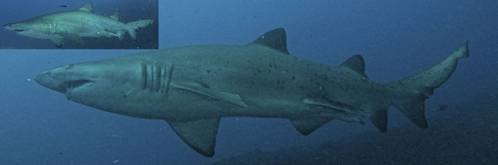 fd731e9d-631c-444a-8d54-1ce90245029e