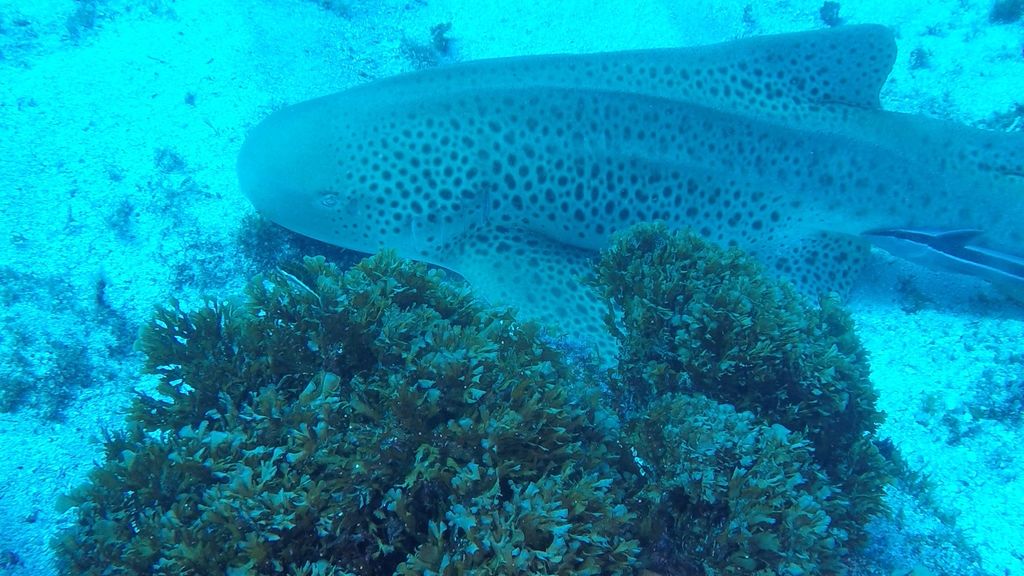 f88fc445-9677-4d7f-93a2-b9f3abc335ba