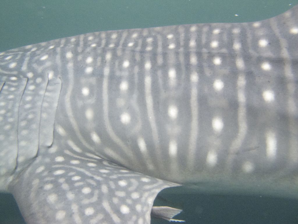 1d3d96a9-f677-4735-8ef8-c18ae35d4113