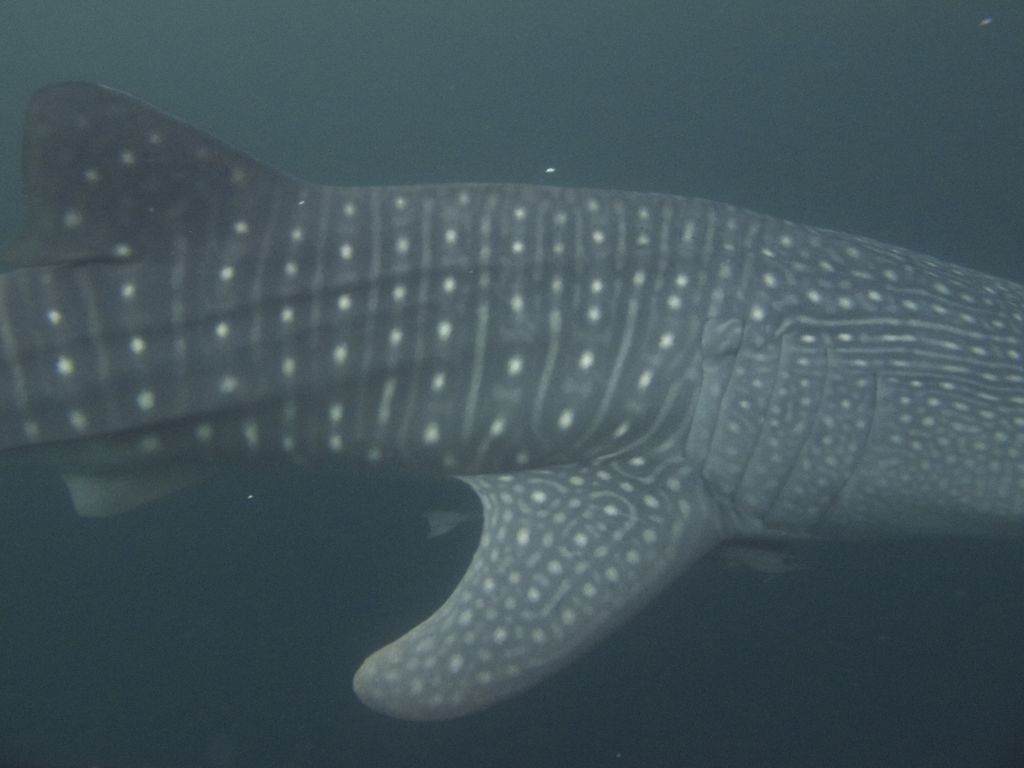 1d3d96a9-f677-4735-8ef8-c18ae35d4113