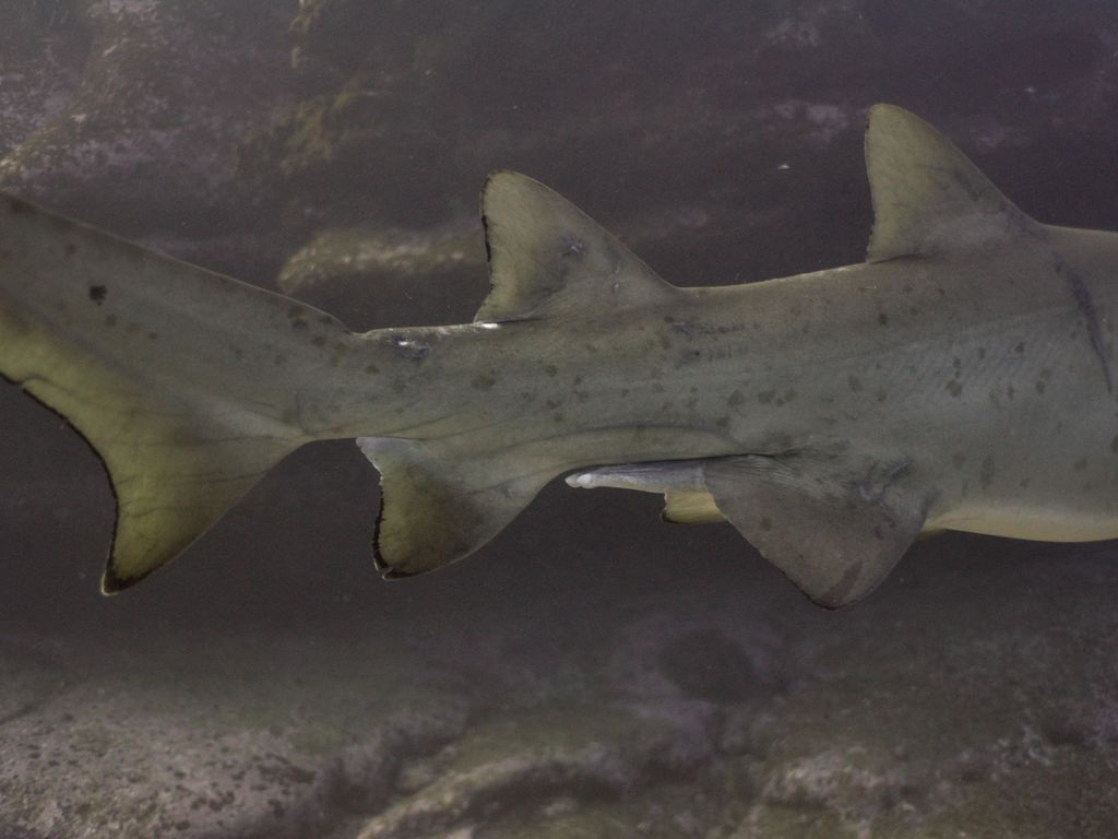 06698e50-15af-4d62-a665-dd37c2bd135f