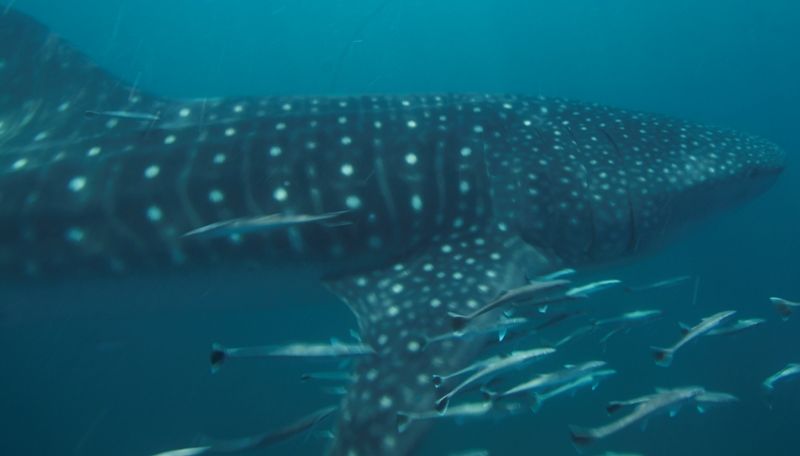 08b1eb15-38b4-4e98-9145-67082e116d28