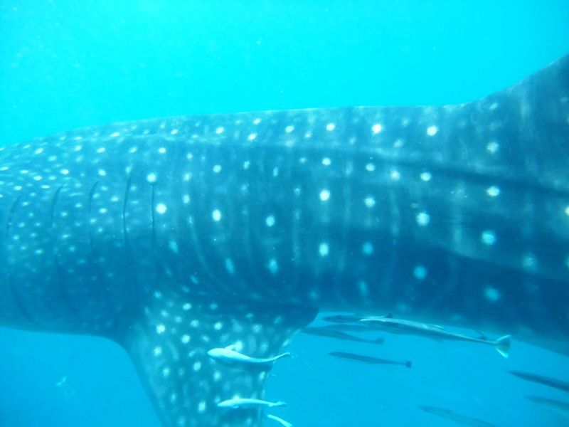 08b1eb15-38b4-4e98-9145-67082e116d28