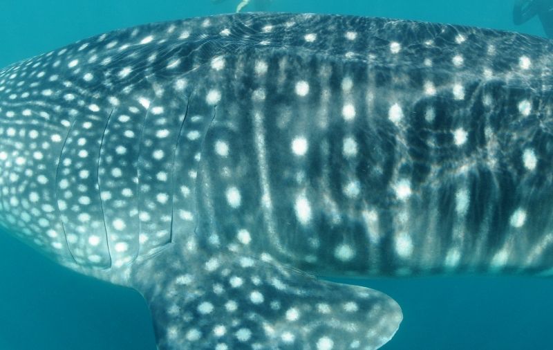 e6a8f05e-fff2-44bd-9950-d6e73af3abcb