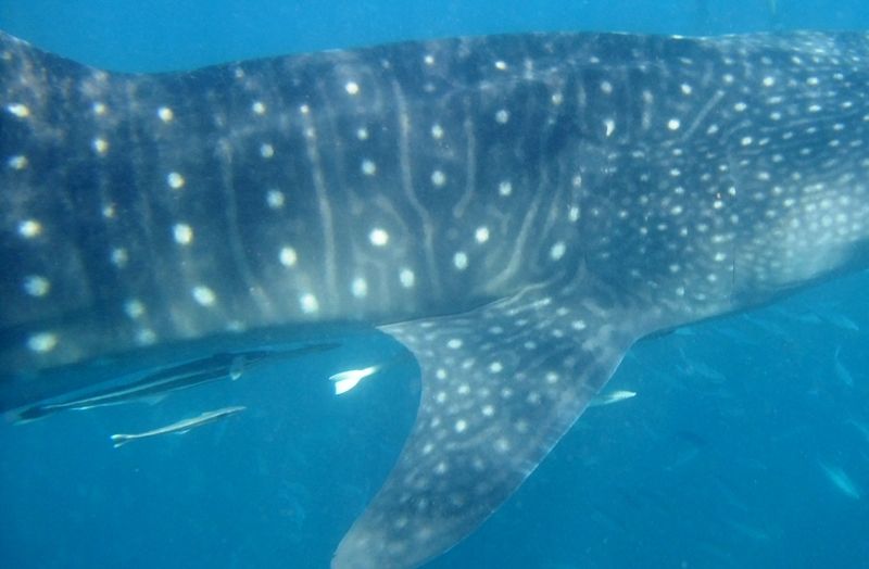 e24a6690-2507-469d-92b2-75e389c17f5e