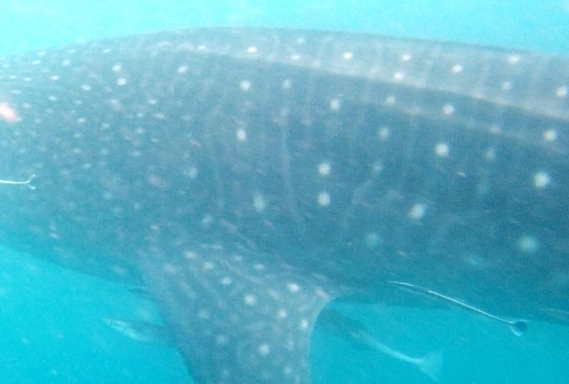 e24a6690-2507-469d-92b2-75e389c17f5e