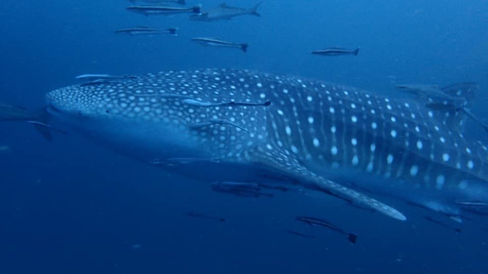 61289207-edc1-4bd0-b473-7ece252ab92f