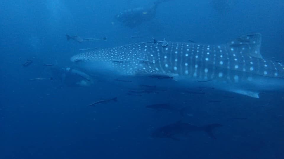 61289207-edc1-4bd0-b473-7ece252ab92f