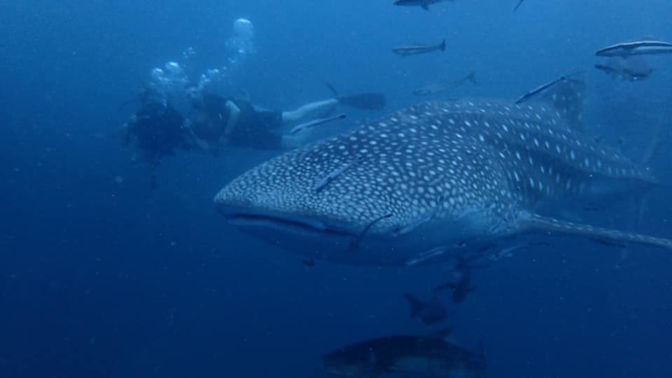 61289207-edc1-4bd0-b473-7ece252ab92f