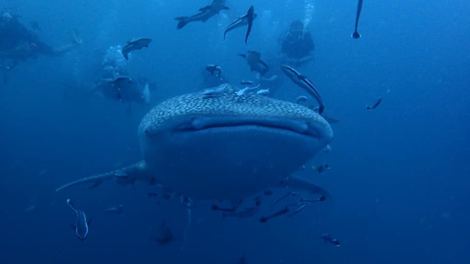 61289207-edc1-4bd0-b473-7ece252ab92f