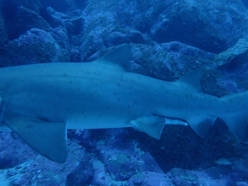 b7ab8b6d-e046-4fdd-b446-d06dbb0d66a0