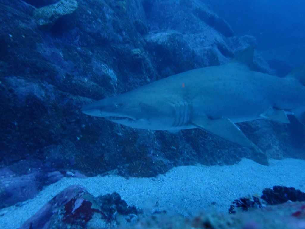 b7ab8b6d-e046-4fdd-b446-d06dbb0d66a0