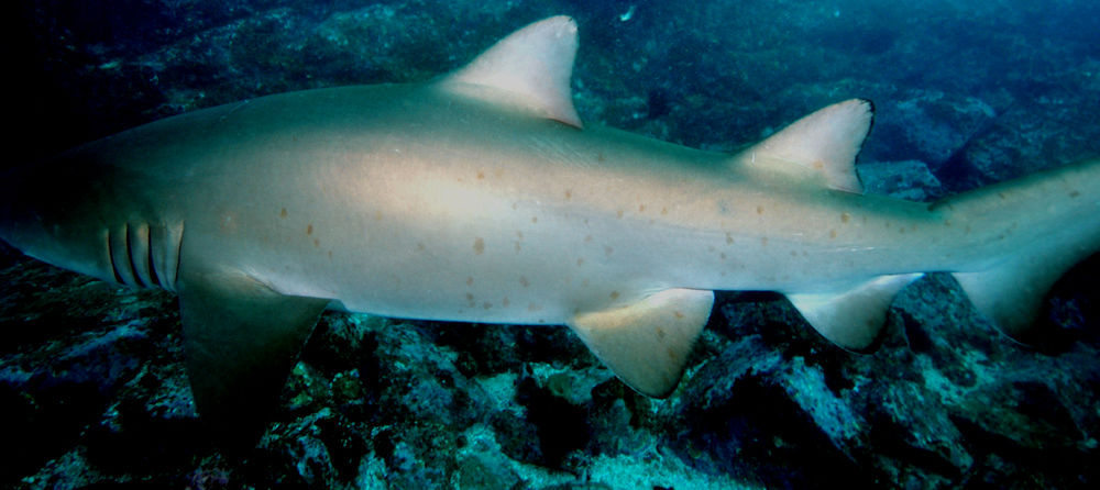 b5657b33-1bff-4fc5-8d9c-b405e062ddaa