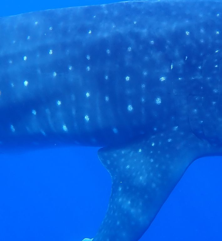 5b7a71a1-5c0c-4ed0-ab60-fb879d998cd0