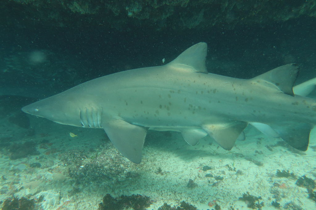 4e095a7c-b0c0-43db-b104-c727bae91348