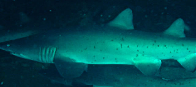 ab71fc3f-22a4-48d5-b9ee-f3dd8c8c8ce1