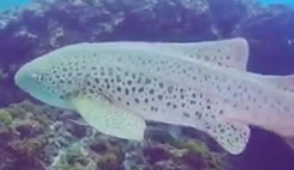 500b2734-7f13-459e-813c-0fcbfd50a2cd