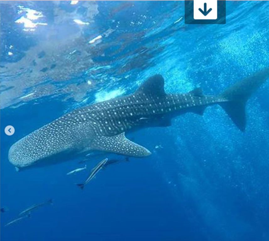 fe9da9df-9341-4121-95e0-7bc6cc4badc5