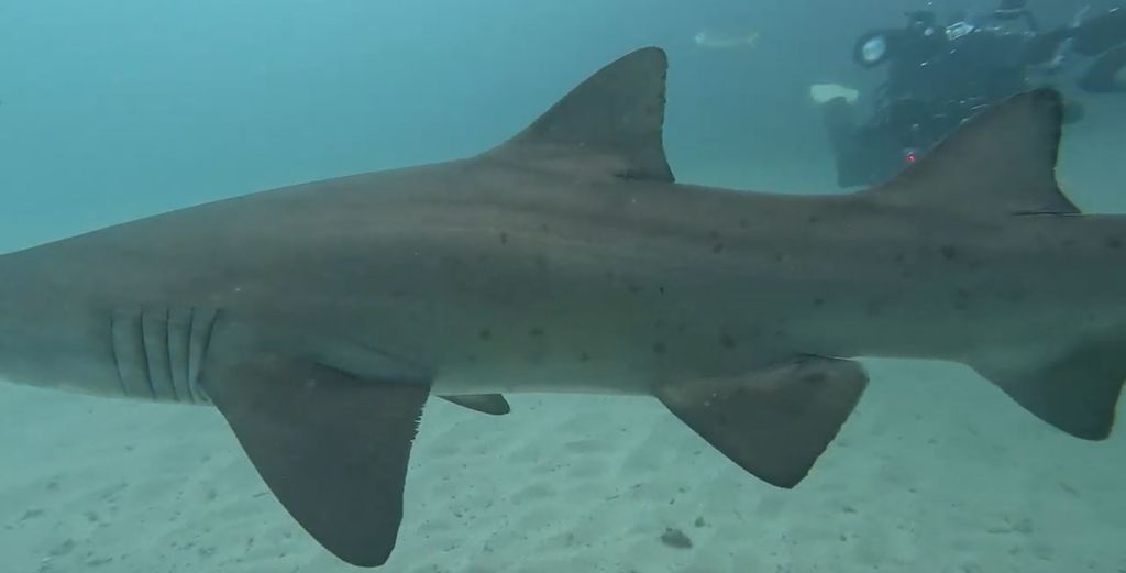 e7b05e60-bc3d-41b8-a988-f6af29337108