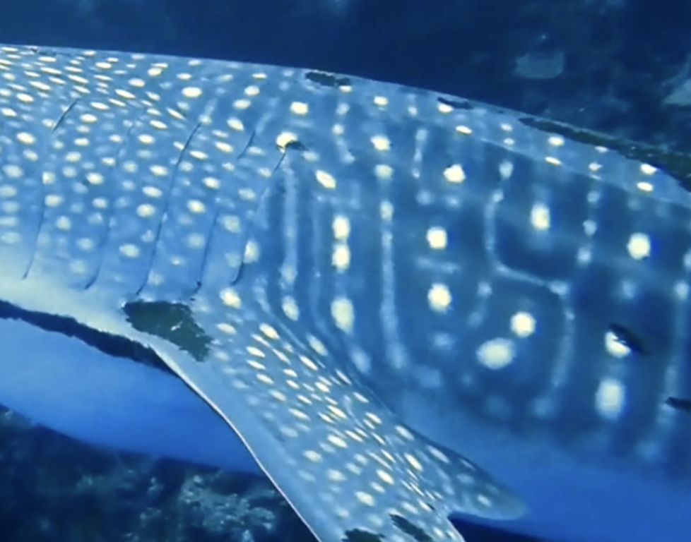 93ed239a-3fe9-4533-8f7e-04caadd57efd