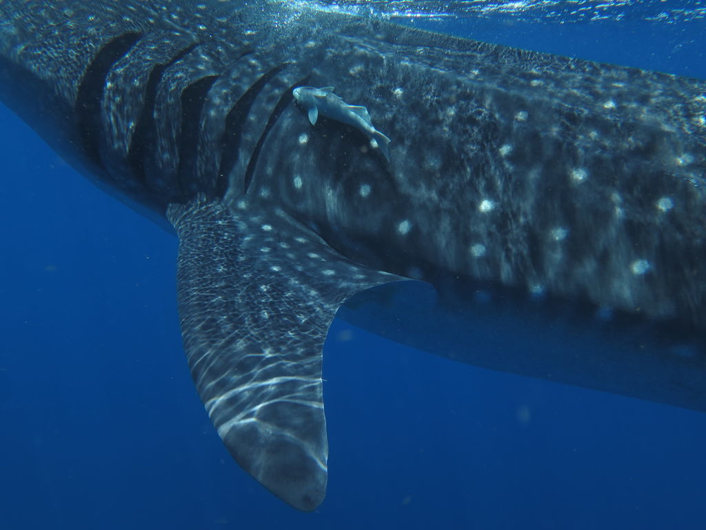 b46eea2b-cae5-4921-9a89-79e6cded1af3