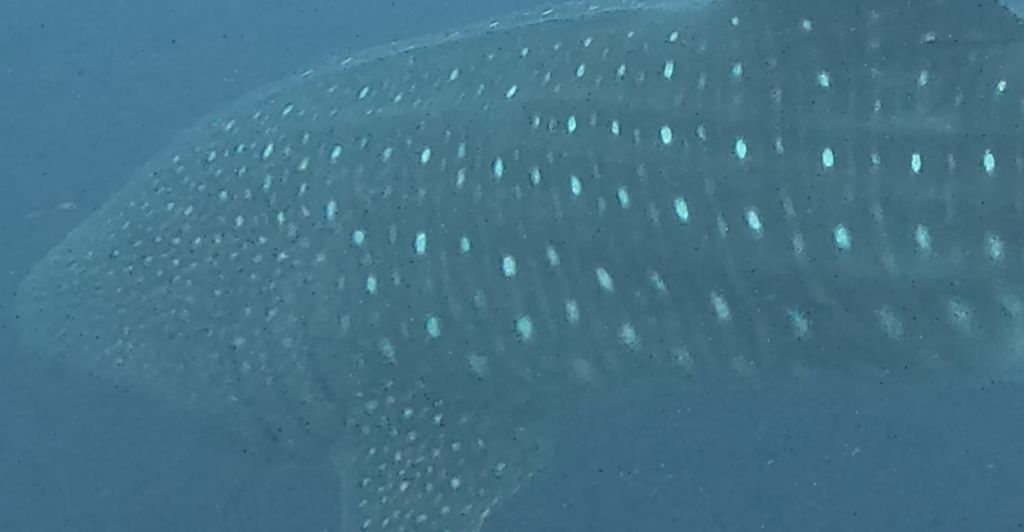 9d07c3e1-0720-42d2-ac76-2f2c28ddf593