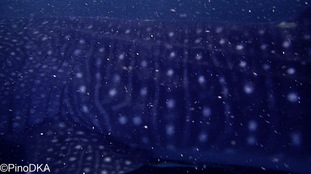 5369baff-540c-4a73-aa70-8ac248c3125e