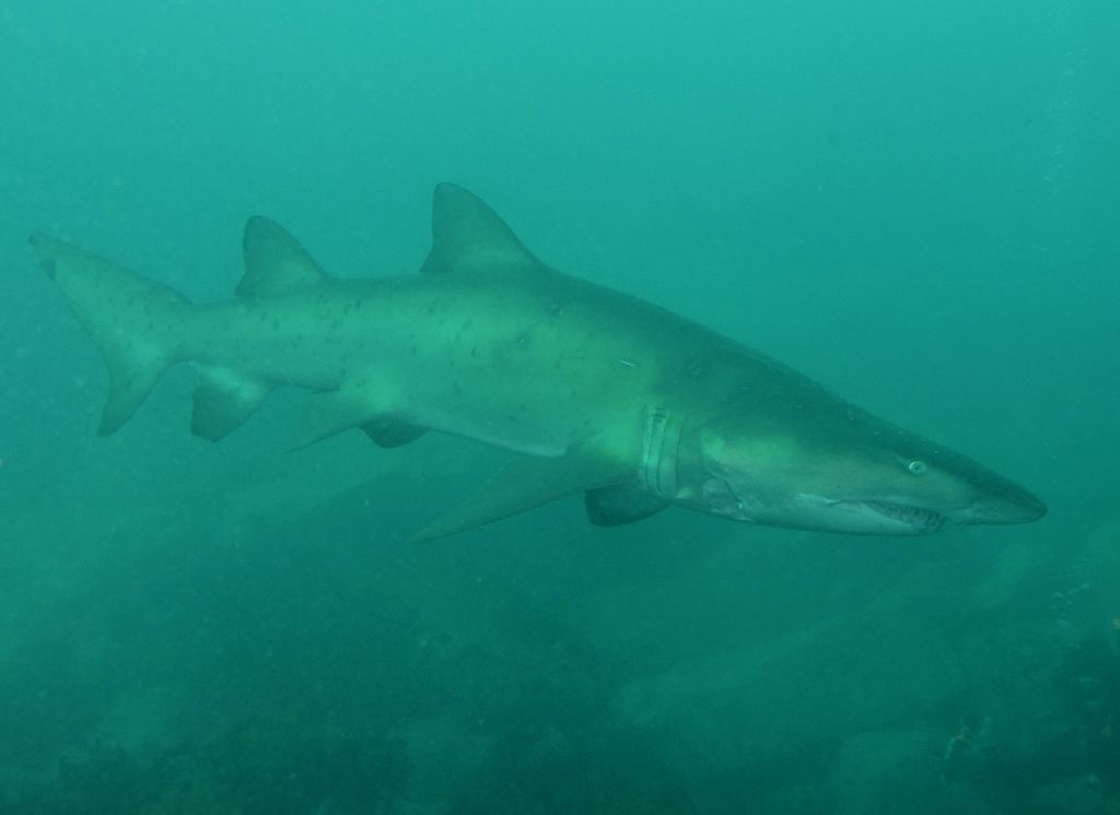 8ad97bc9-4966-4b24-8c46-c751f811cbda