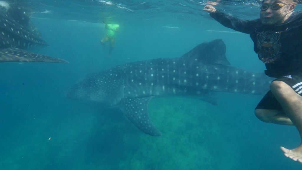 2f3cbc7c-4842-468b-93d5-c0611a472cb1