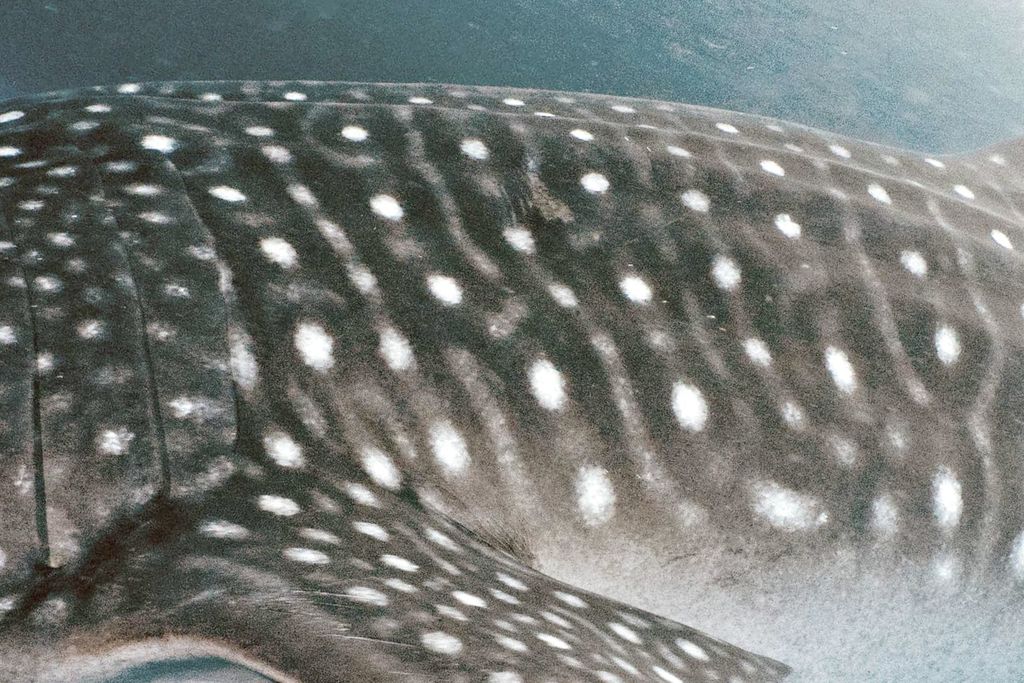 1efed366-7383-423e-b1fc-61dfacfc4554