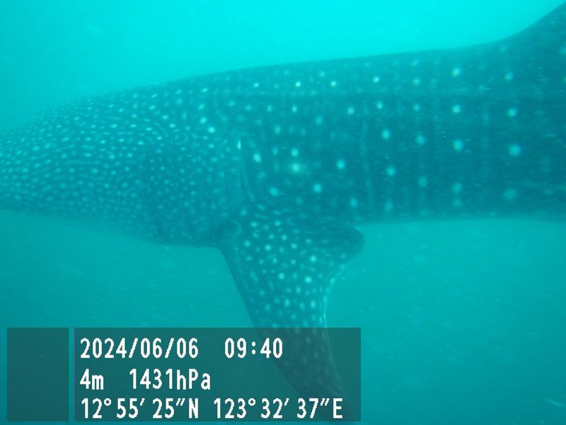 c5bc5673-466e-4fb4-b84c-e4f7d429b8c1